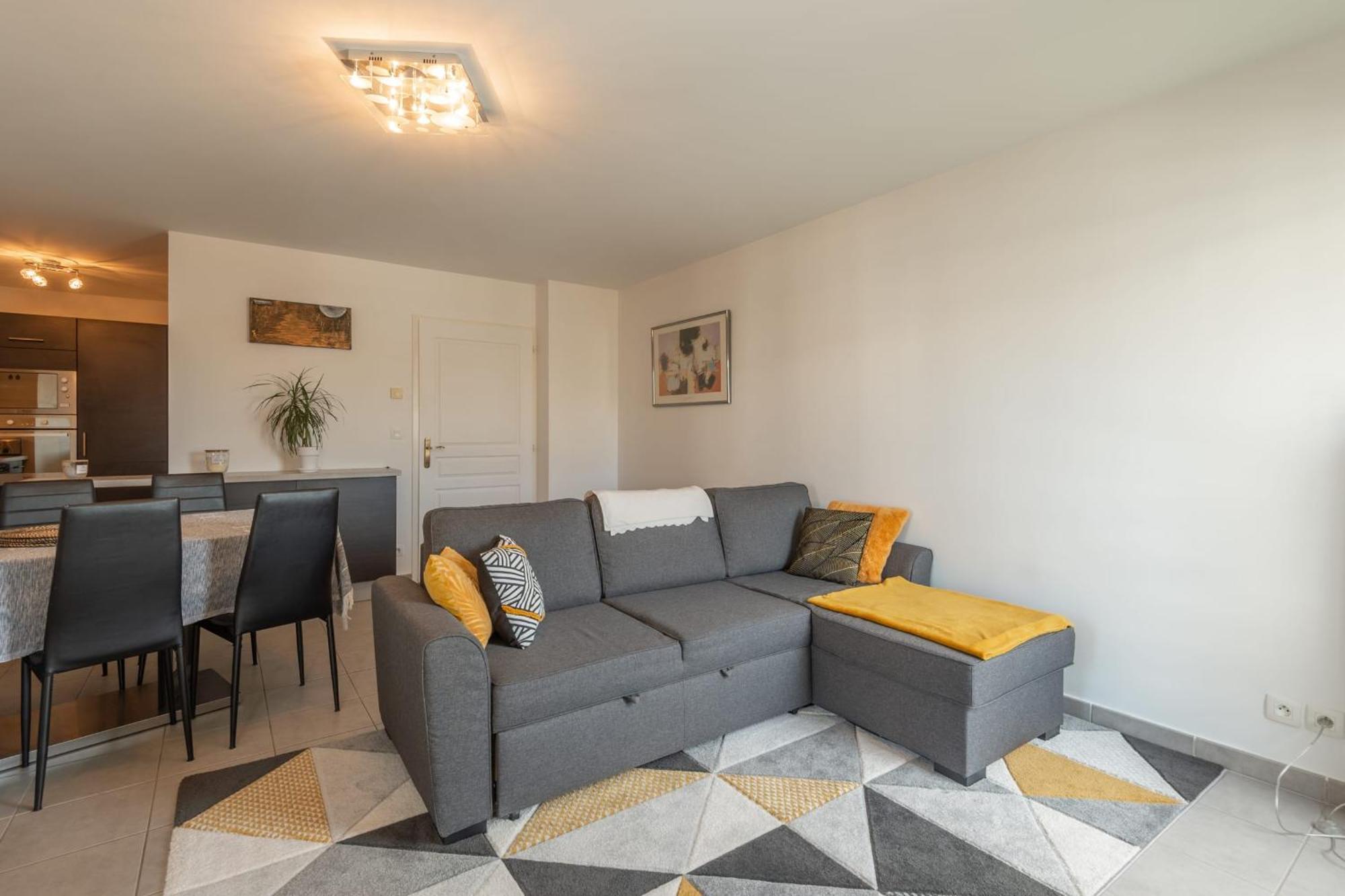 Joli T2 De 57 M Proche Et Vieille Appartement Annecy